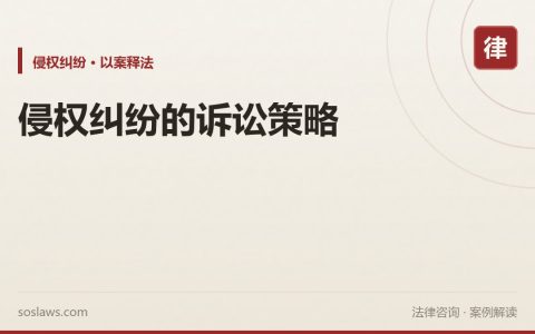 侵权纠纷的诉讼策略