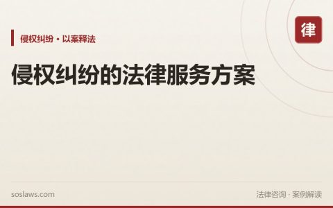 侵权纠纷的法律服务方案