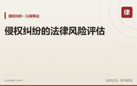 侵权纠纷的法律风险评估