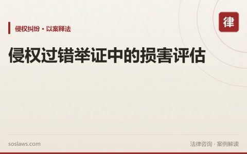 侵权过错举证中的损害评估