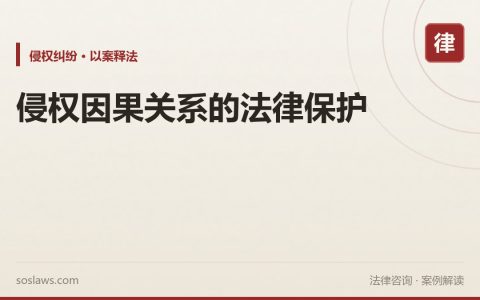 侵权因果关系的法律保护