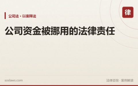 公司资金被挪用的法律责任