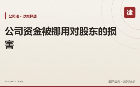 公司资金被挪用对股东的损害
