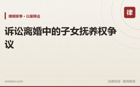诉讼离婚中的子女抚养权争议