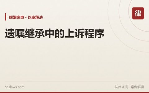 遗嘱继承中的上诉程序