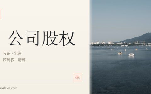 股东滥用公司资源的法律处理